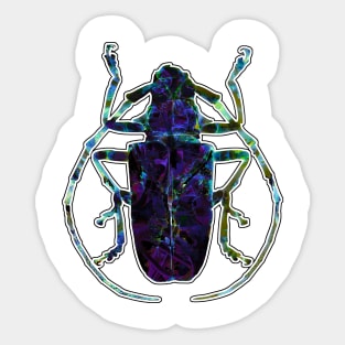 Blue Stone Gem Beetle Sticker